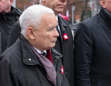 Miniatura: Na tę partię Polacy na pewno nie oddaliby...