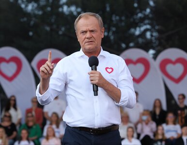 Miniatura: Tusk z wyraźną przestrogą. „To jedyny...