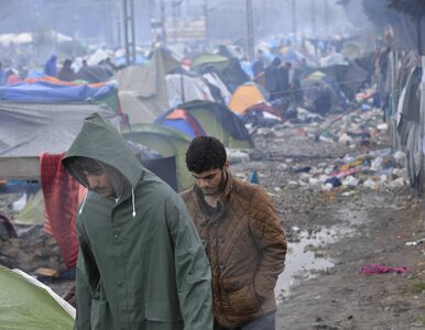 Politycy PiS oskarżeni o nawoływanie do nienawiści przeciw uchodźcom....