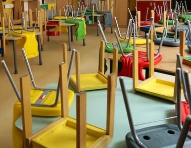 Miniatura: MEN szykuje rewolucję w przedszkolach,...