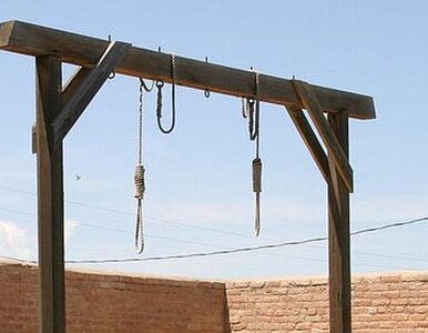Miniatura: USA: coraz mniej wyroków śmierci i egzekucji