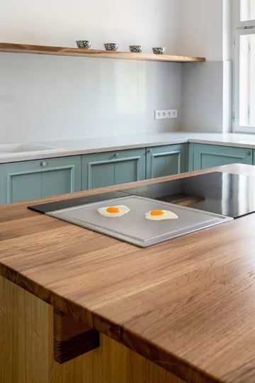 Mieszkanie w kamienicy na przedmieściach Pragi, projekt No Architects Linka, No Architects