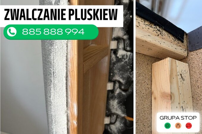 Zwalczanie pluskiew