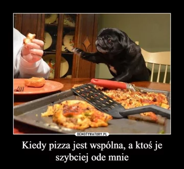 Memy z pizzą w roli głównej 