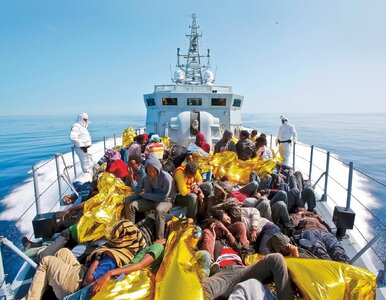 Miniatura: Imigranci szansą na załatanie...