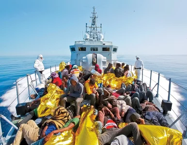 Miniatura: Imigranci szansą na załatanie...