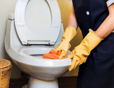 Miniatura: Wsyp do muszli 2 łyżki przed snem. Rano...