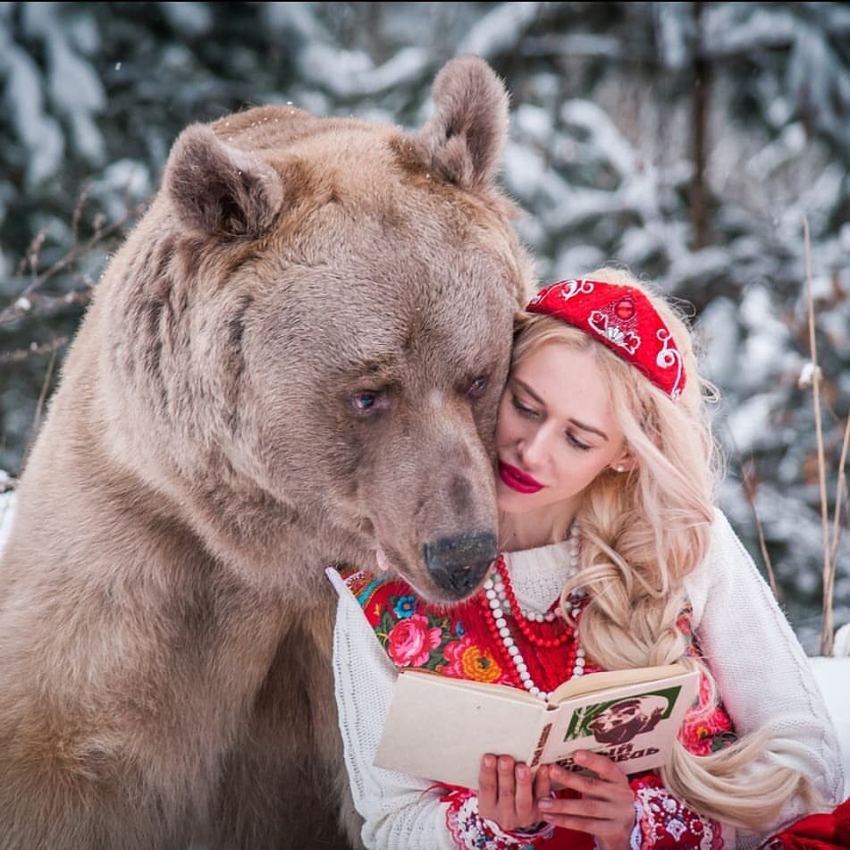 Niedźwiedź Stepan - gwiazda rosyjskiego internetu 