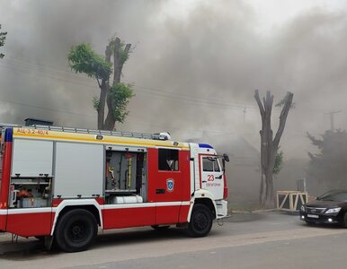 Miniatura: Potężny pożar na Krymie. W okolicach...