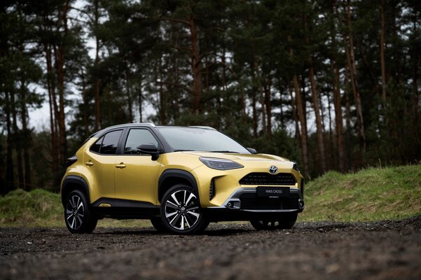 Miniatura: Toyota Yaris Cross