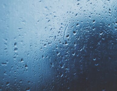 Miniatura: Niedziela pochmurna i deszczowa. W...