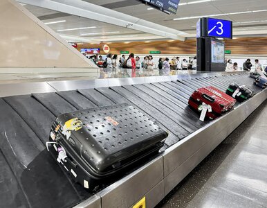 Miniatura: Te walizki stwarzają problemy turystom....