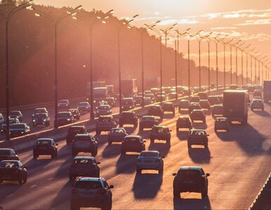 Miniatura: Czystka w Centralnej Ewidencji Pojazdów....