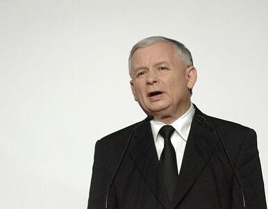 Miniatura: Kaczyński: poseł ma działać, a nie słuchać...