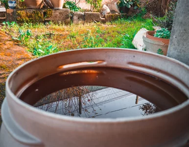 Miniatura: Nawet 2 tyś. zł na deszczówkę. Ruszył...