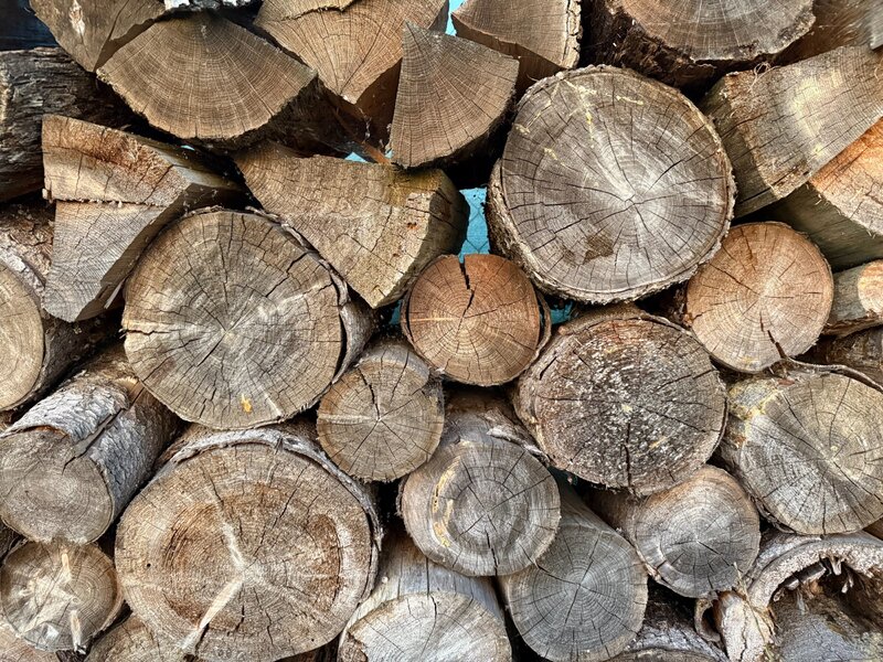 Nie każde drewno nadaje się do&nbsp;palenia &ndash; niewłaściwy opał może szybko zniszczyć komin i&nbsp;zagrozić bezpieczeństwu domownik&oacute;w