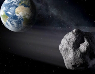 Miniatura: Ogromna asteroida minie naszą planetę....