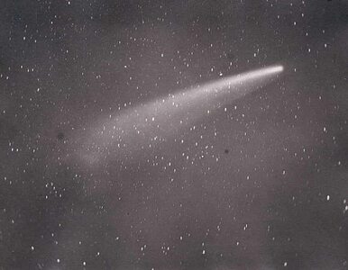 Miniatura: Zobacz pierwsze zdjęcie komety, która...