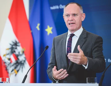 Miniatura: Kontrole graniczne przeciwko nielegalnym...