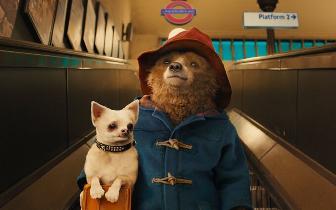„Paddington 2”
