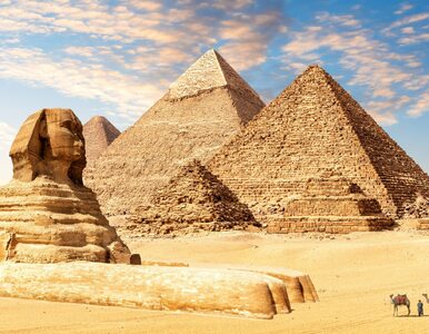 Miniatura: Archeolodzy odkryli tajemniczą strukturę w...