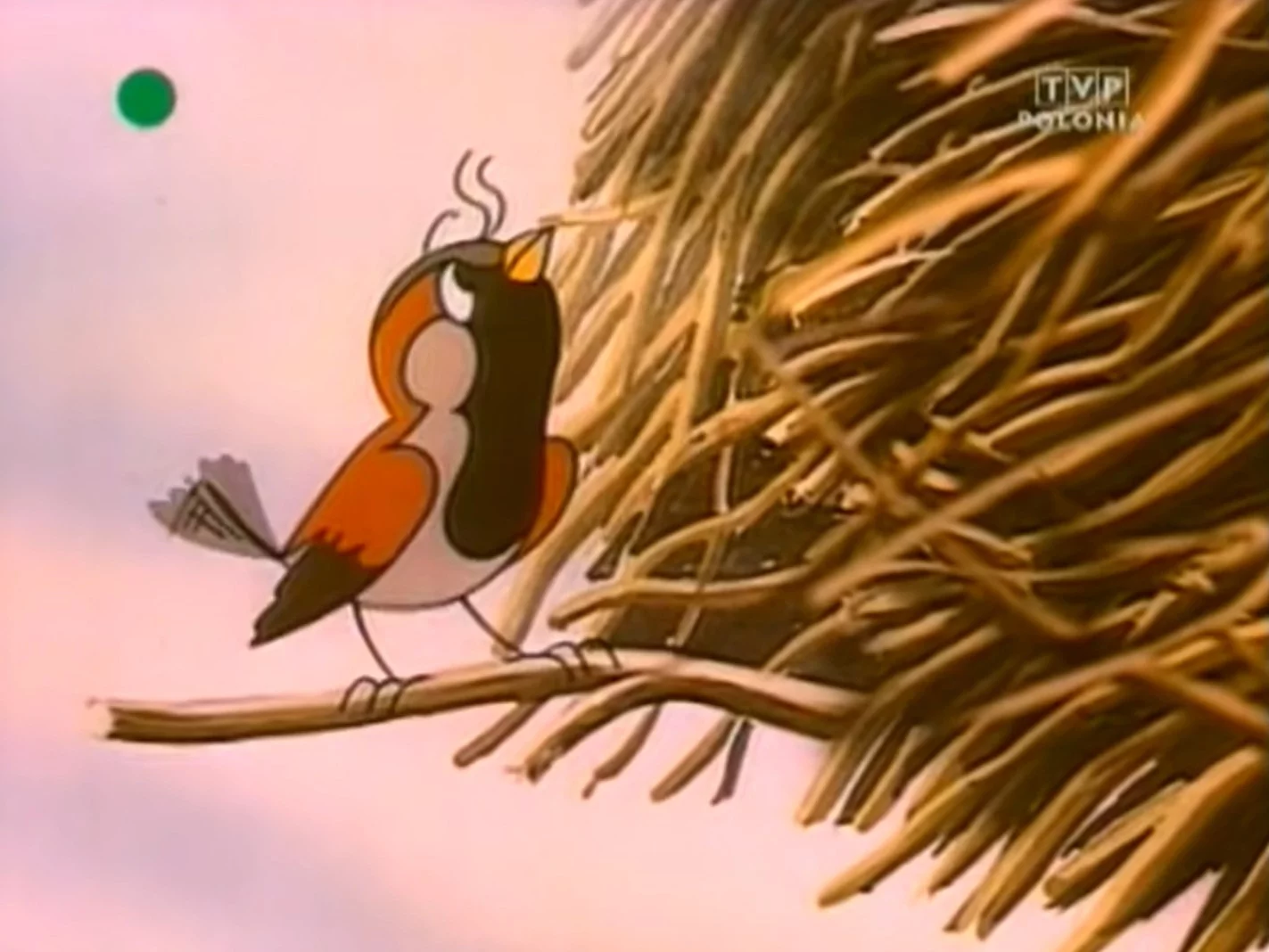 Zgadnij wieczorynkę! 15 pytań