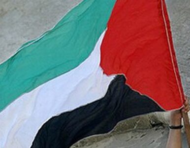 Miniatura: Liga Arabska chce Palestyny w ONZ