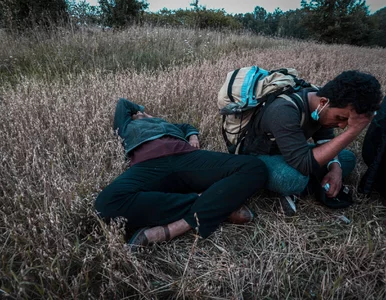 Miniatura: Terlikowski: Zamiast stawiać mury, trzeba...