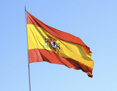 Miniatura: "FT": Hiszpania powinna być przykładem dla...