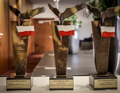 Miniatura: Pomorskie Orły nagrodzone