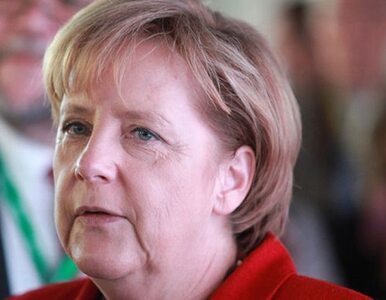 Miniatura: Merkel: wspólne posiedzenie rządów Polski...