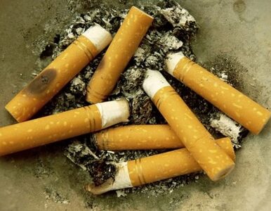 Miniatura: W Bułgarii papierosa już nie zapalisz....