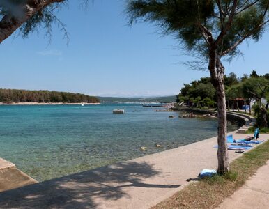 Miniatura: Plan na tanie wakacje w Chorwacji....