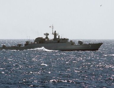 Miniatura: Irańskie okręty u wybrzeży Izraela?
