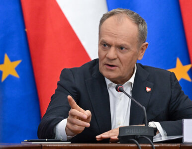 Miniatura: Koalicja Obywatelska wybrała...