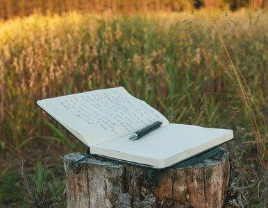 Miniatura: Trudny QUIZ ortograficzny. Na ile pytań...