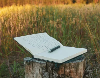 Miniatura: Trudny QUIZ ortograficzny. Na ile pytań...