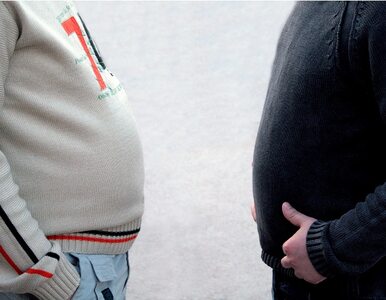 Miniatura: Polacy nie radzą sobie z otyłością