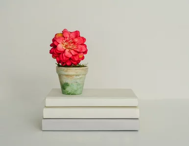 Miniatura: Quiz ortograficzny niczym miszmasz. Test...