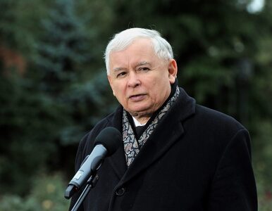 Miniatura: Jarosław Kaczyński nie stanie przed...