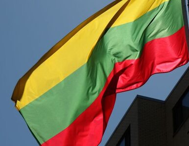 Miniatura: Litwini wolą mniejszość rosyjską niż polską
