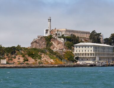 Miniatura: Uczestnicy brawurowej ucieczki z Alcatraz...