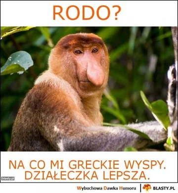 Mem z RODO 
