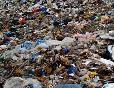 Miniatura: Polacy będą płacić więcej za wywóz śmieci?