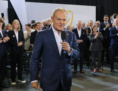 Miniatura: Donald Tusk krytykowany przez koalicjantów...