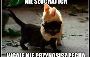 Memy z okazji piątku 13-stego 