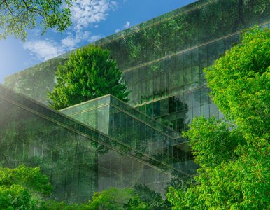 Miniatura: Zielone mieszkania to złoty zysk? „Biją...