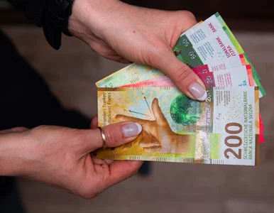 Miniatura: Frankowicze na lodzie. Kluczowy przepis...