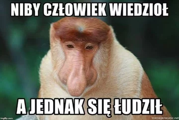 Mem po wyborach do PE 