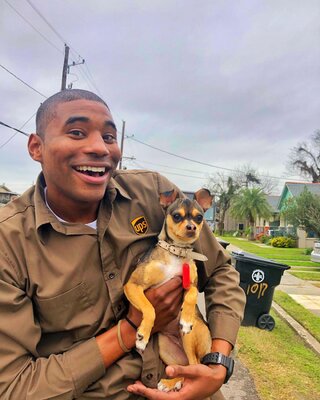 Miniatura: Kierowca robi sobie zdjęcia z psami, które...